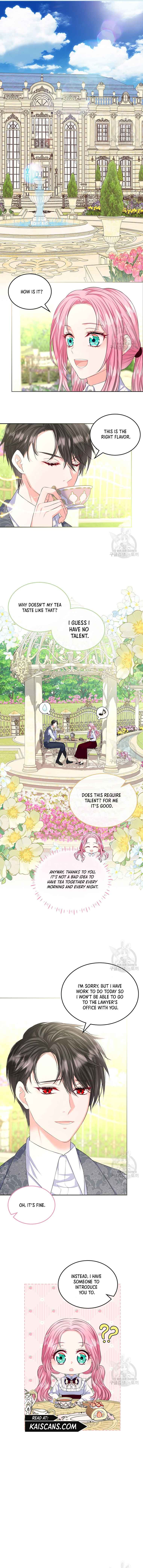 I Will Divorce the Female Lead’s Siscon Brother Chapter 20 - Page 9