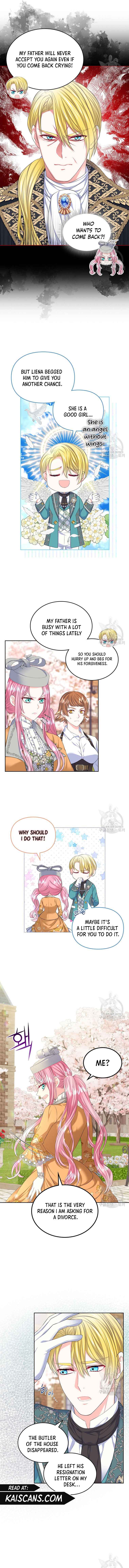 I Will Divorce the Female Lead’s Siscon Brother Chapter 21 - Page 3