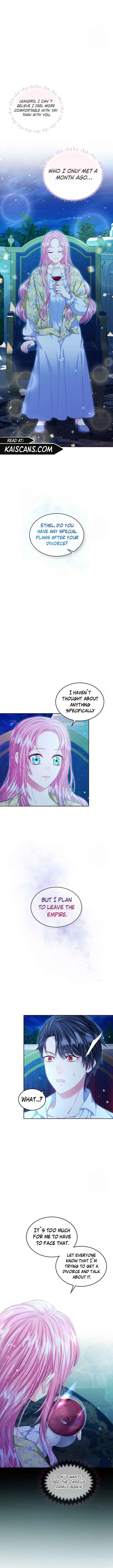 I Will Divorce the Female Lead’s Siscon Brother Chapter 24 - Page 8