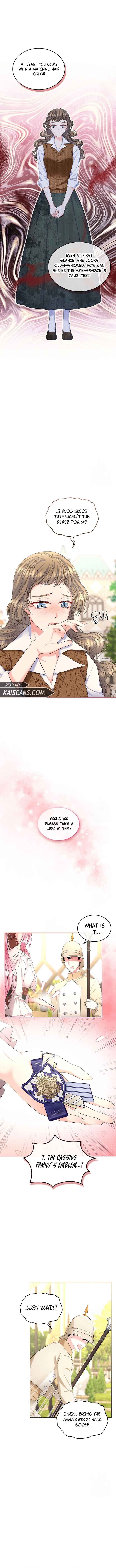 I Will Divorce the Female Lead’s Siscon Brother Chapter 26 - Page 5