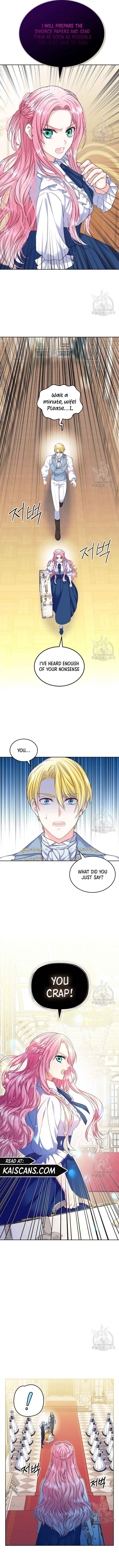 I Will Divorce the Female Lead’s Siscon Brother Chapter 3 - Page 6