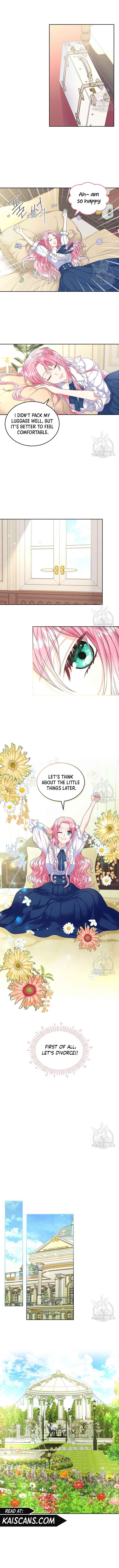 I Will Divorce the Female Lead’s Siscon Brother Chapter 3 - Page 8