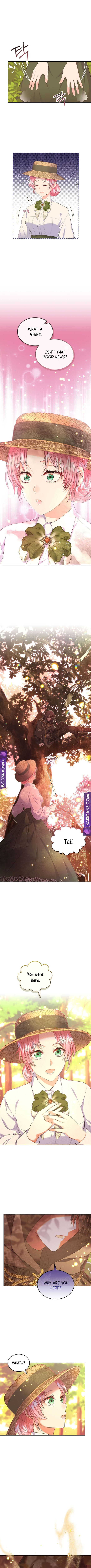 I Will Divorce the Female Lead’s Siscon Brother Chapter 36 - Page 8