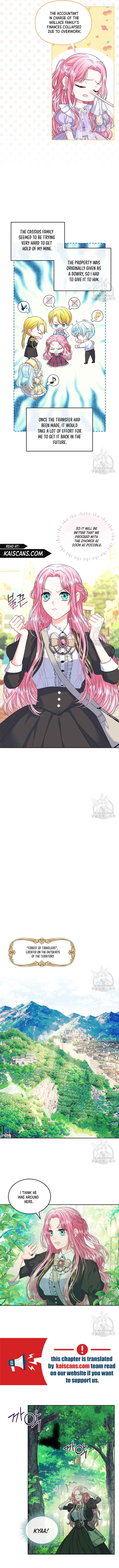I Will Divorce the Female Lead’s Siscon Brother Chapter 5 - Page 5