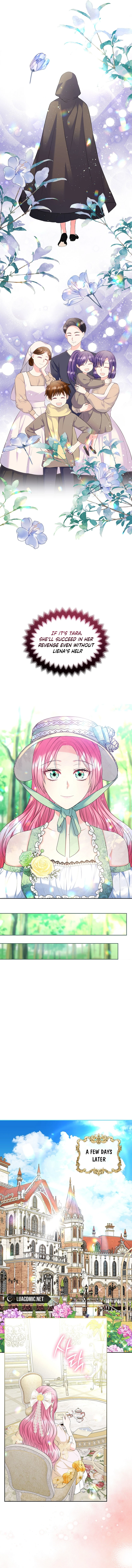 I Will Divorce the Female Lead’s Siscon Brother Chapter 50 - Page 12