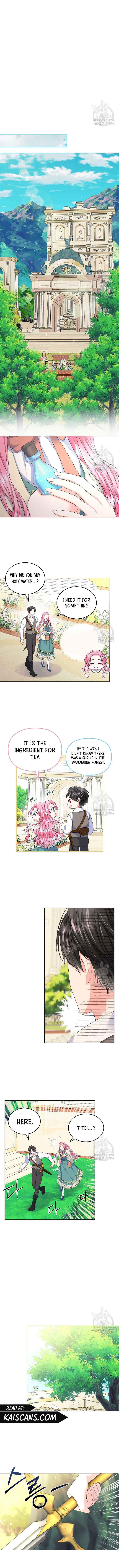 I Will Divorce the Female Lead’s Siscon Brother Chapter 7 - Page 4