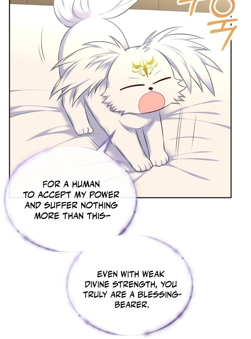 I Will Divorce the Female Lead’s Siscon Brother Chapter 78 - Page 14