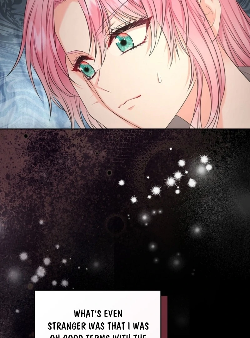 I Will Divorce the Female Lead’s Siscon Brother Chapter 78 - Page 43