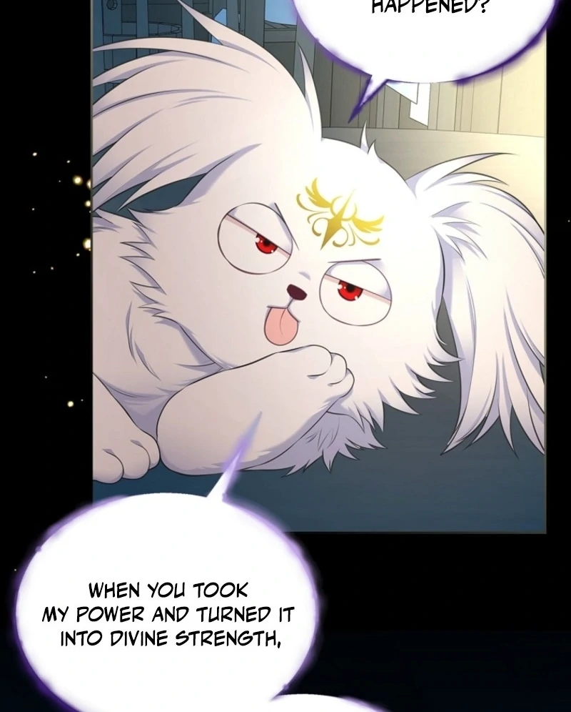I Will Divorce the Female Lead’s Siscon Brother Chapter 78 - Page 47