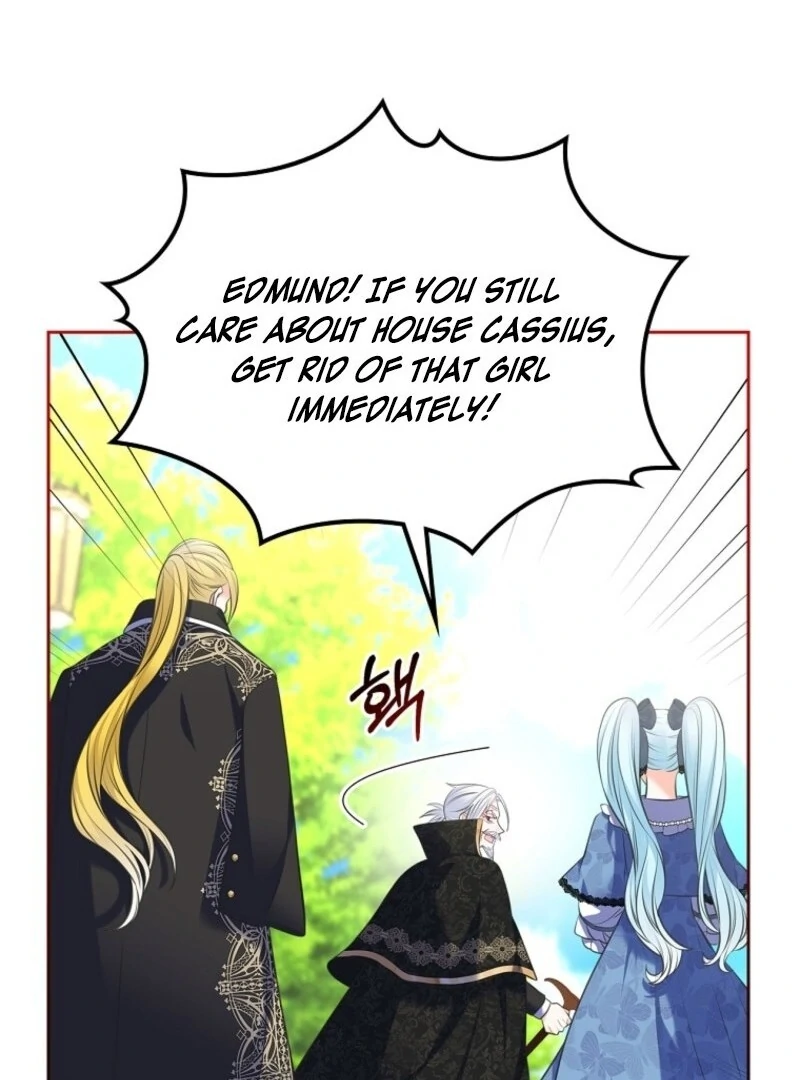 I Will Divorce the Female Lead’s Siscon Brother Chapter 83 - Page 45