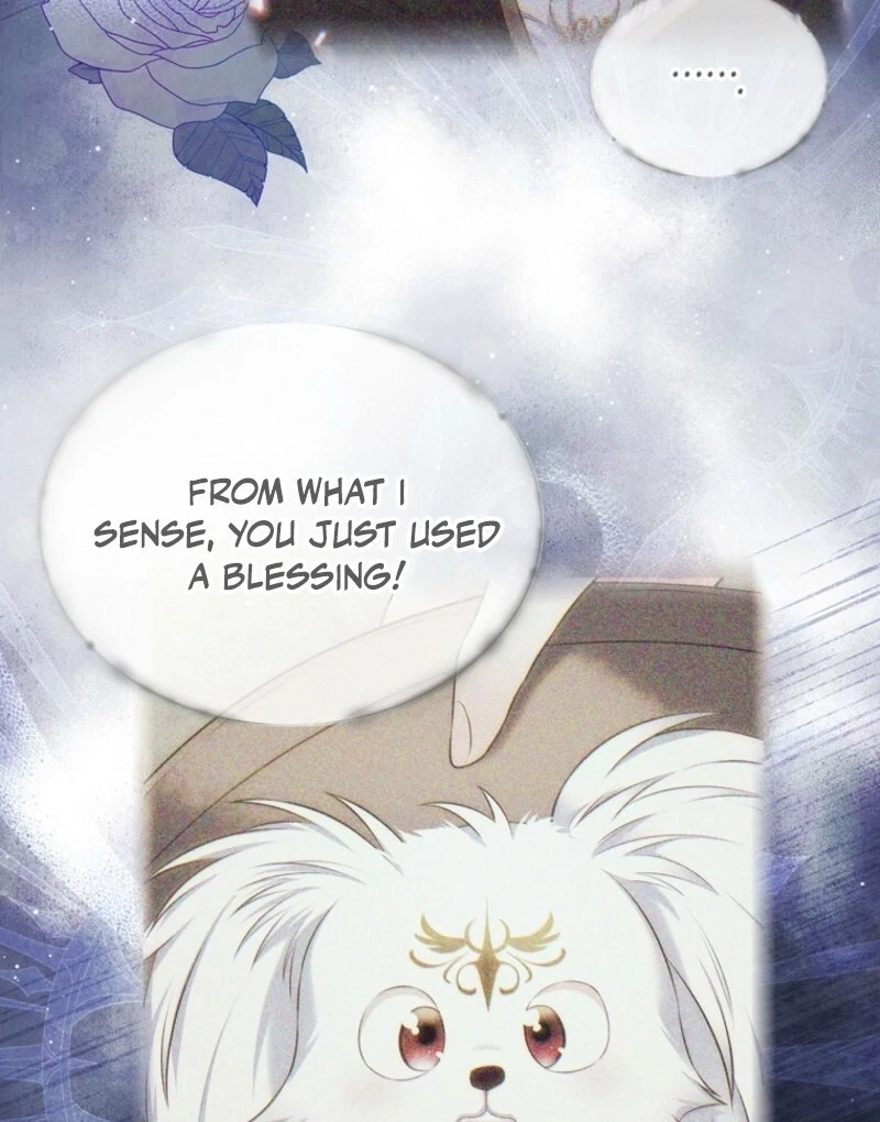 I Will Divorce the Female Lead’s Siscon Brother Chapter 83 - Page 122