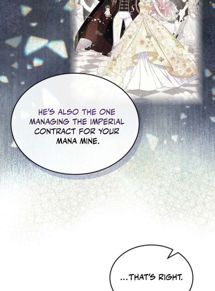 I Will Divorce the Female Lead’s Siscon Brother Chapter 84 - Page 19