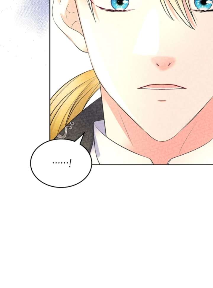 I Will Divorce the Female Lead’s Siscon Brother Chapter 89 - Page 104