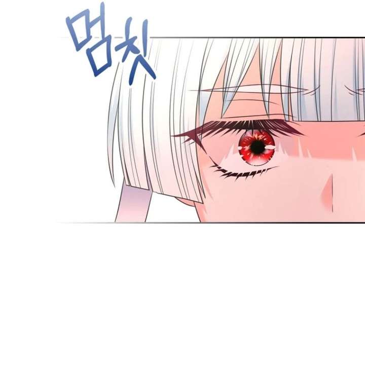 I Will Divorce the Female Lead’s Siscon Brother Chapter 94 - Page 63
