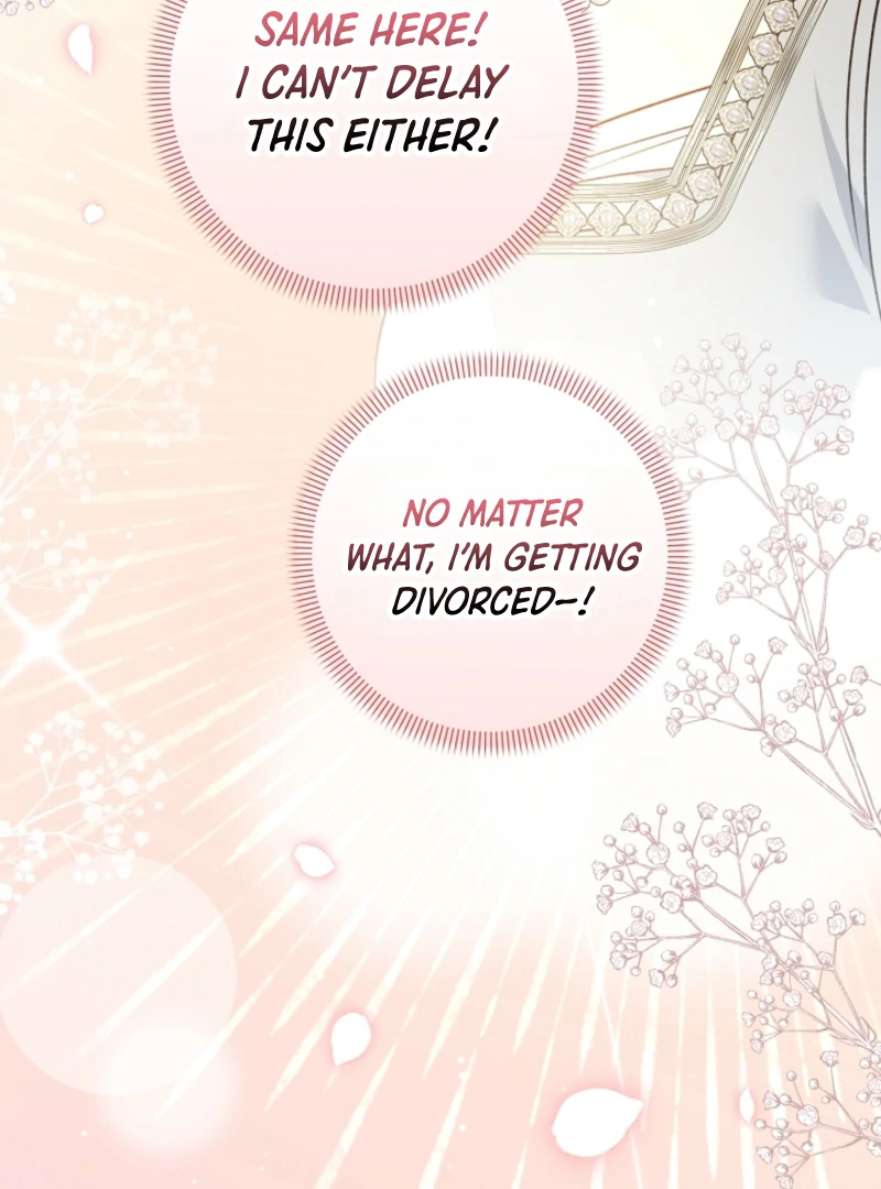 Let’s Divorce, Not Obsess! Chapter 15 - Page 95