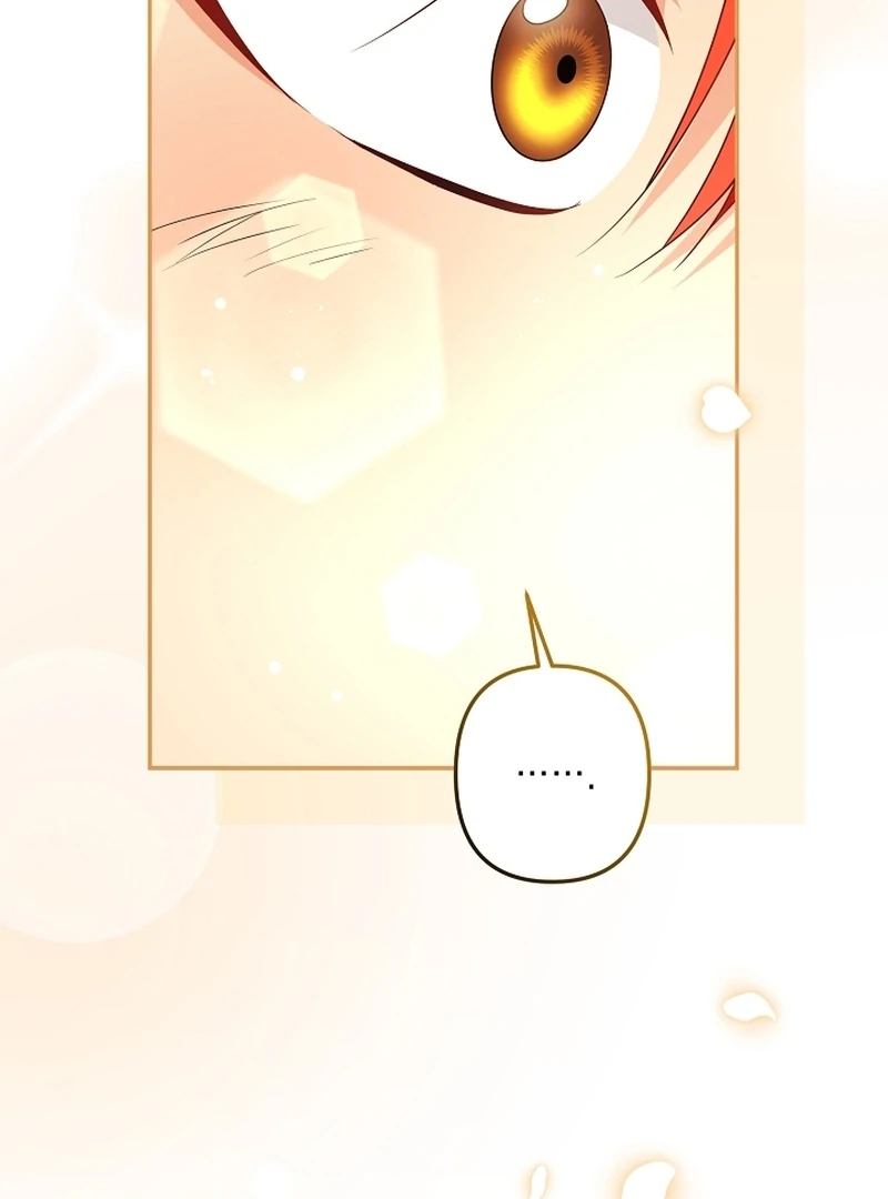 Let’s Divorce, Not Obsess! Chapter 20 - Page 86