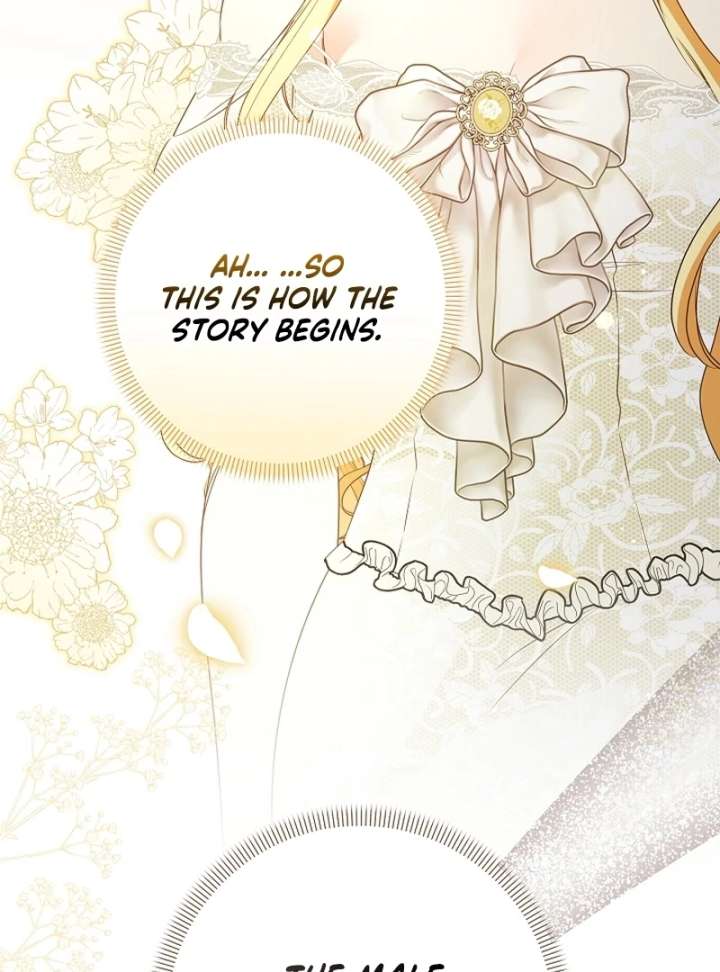 Let’s Divorce, Not Obsess! Chapter 23 - Page 10