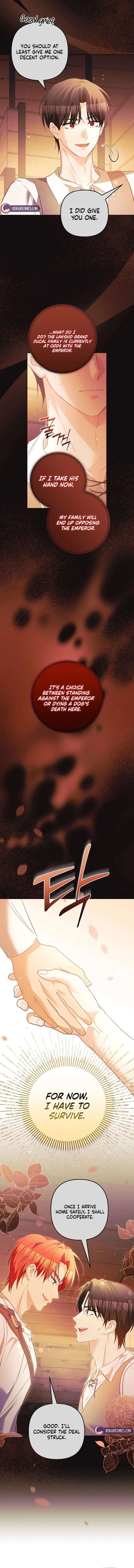 Let’s Divorce, Not Obsess! Chapter 31 - Page 6