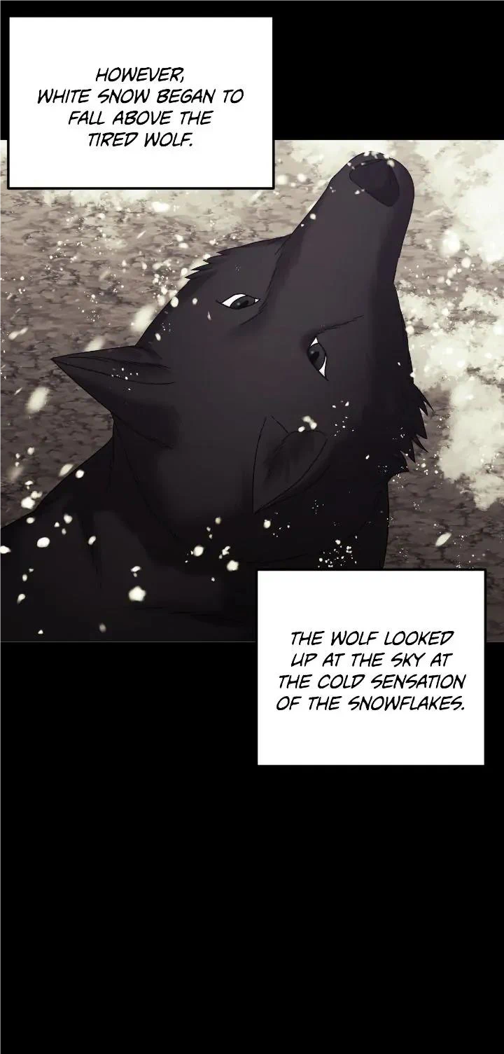 Marriage Alliance for Revenge Chapter 47 - Page 20