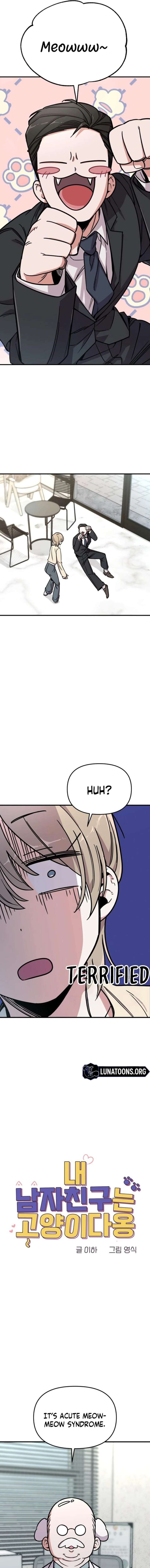 My Boyfriend is a Cat Chapter 1 - Page 5