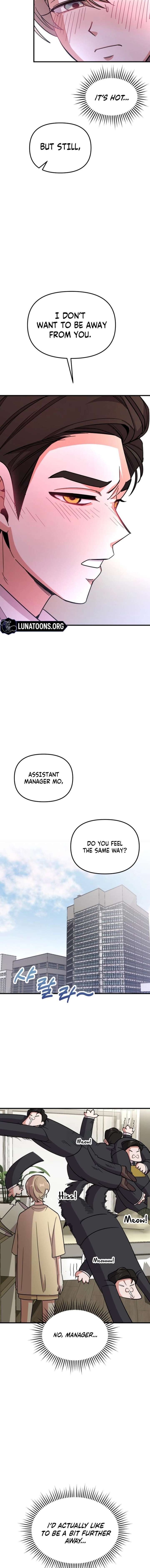My Boyfriend is a Cat Chapter 10 - Page 5