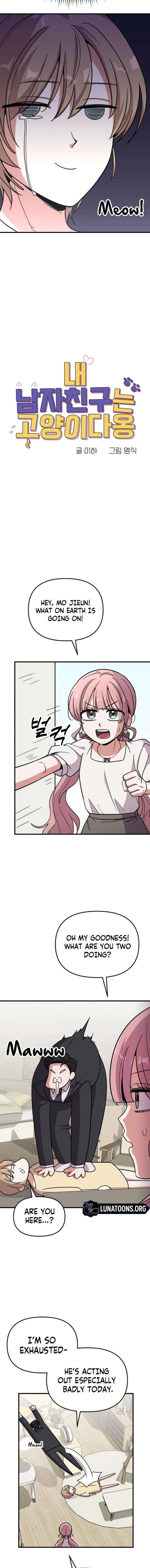 My Boyfriend is a Cat Chapter 10 - Page 6