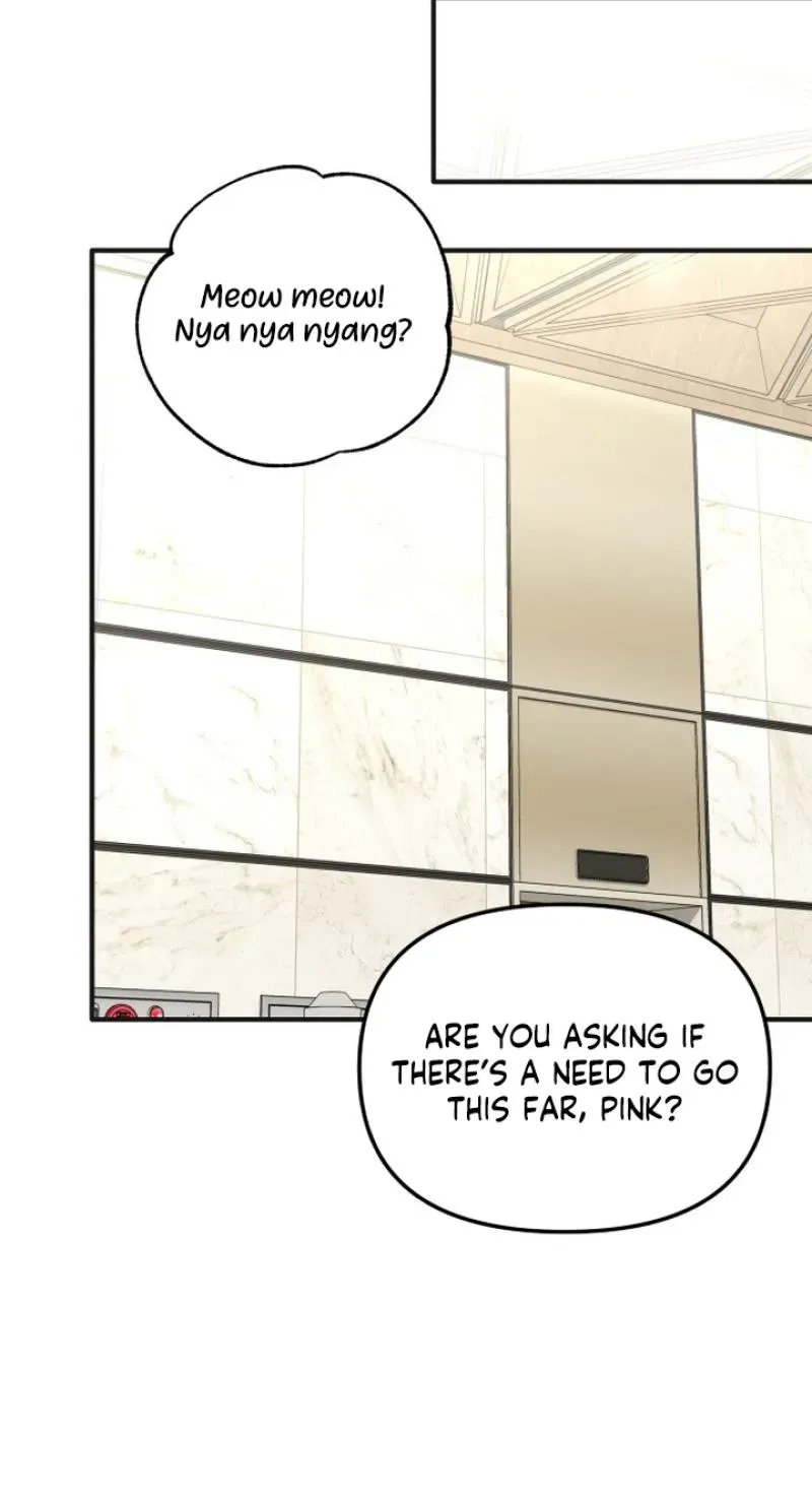 My Boyfriend is a Cat Chapter 26 - Page 43