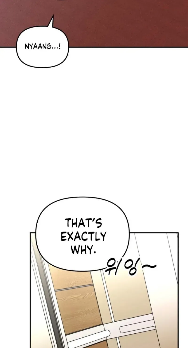 My Boyfriend is a Cat Chapter 26 - Page 45
