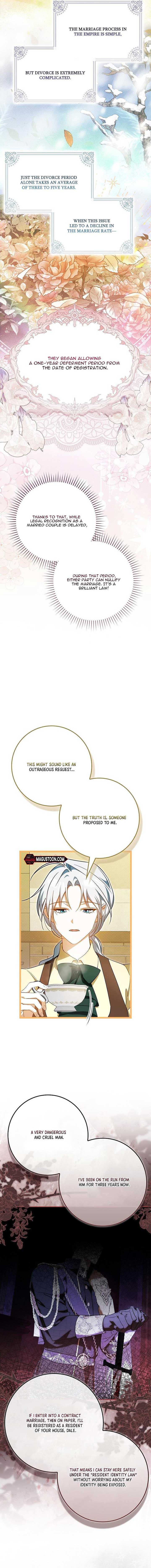 My Contract Husband Resembles the Male Protagonist Chapter 3 - Page 4