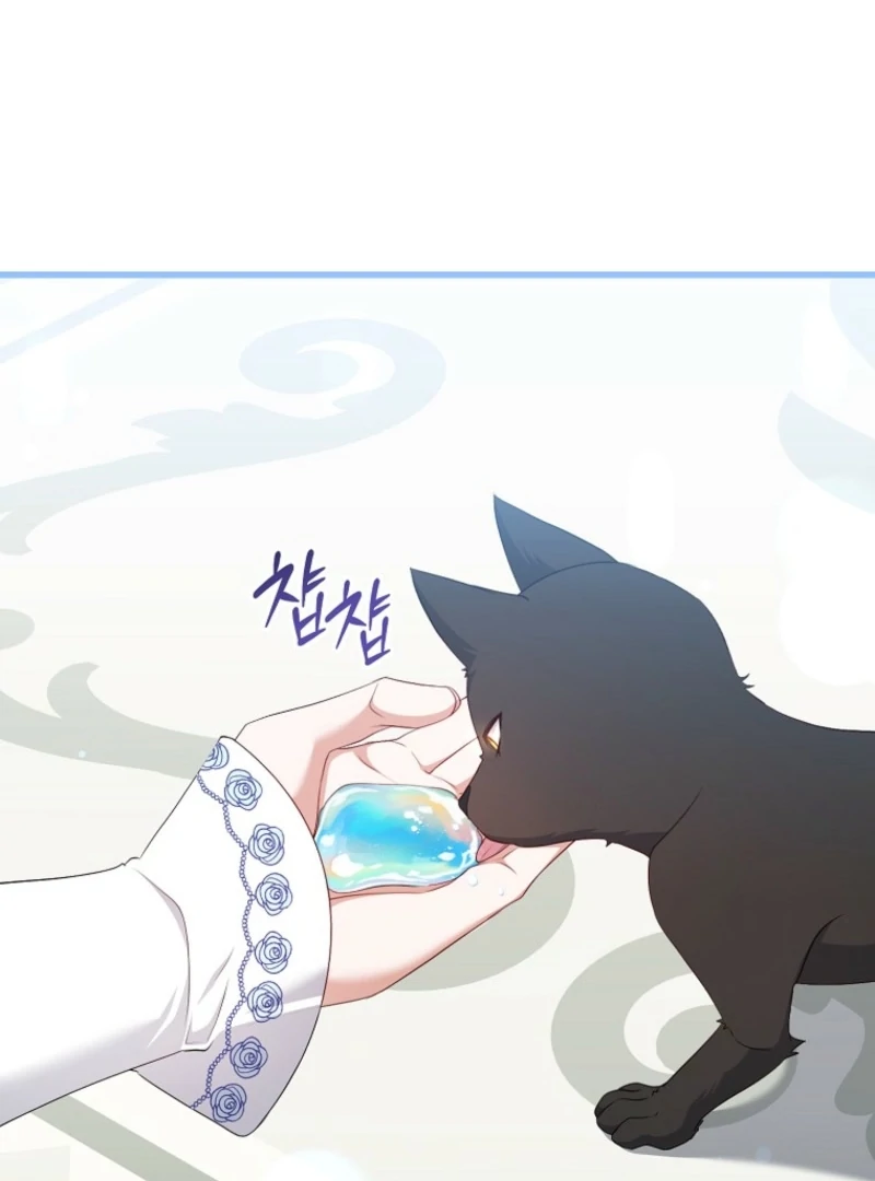 My Kidnapper Is My Arranged Marriage Partner?! Chapter 17 - Page 16