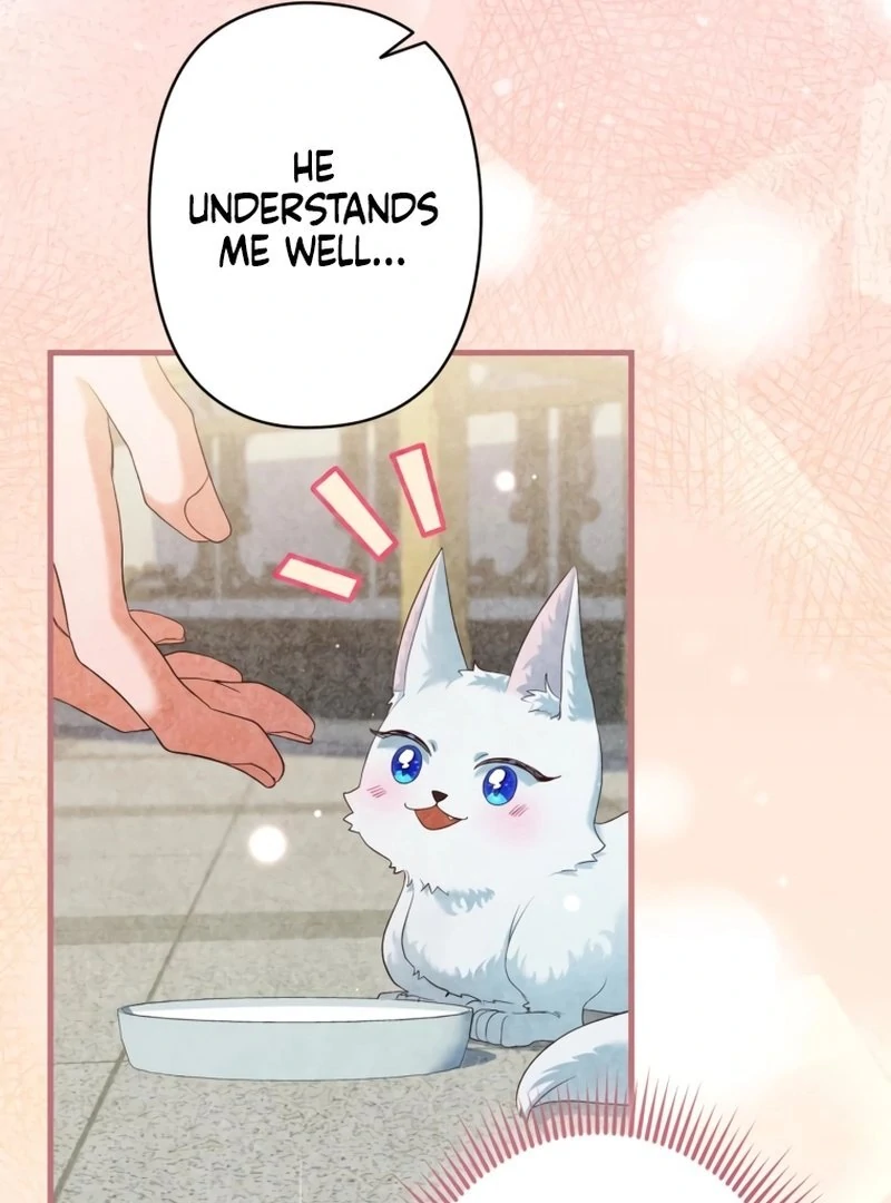 My Kidnapper Is My Arranged Marriage Partner?! Chapter 7 - Page 9