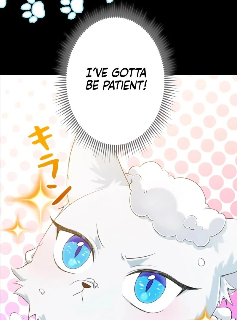 My Kidnapper Is My Arranged Marriage Partner?! Chapter 7 - Page 47