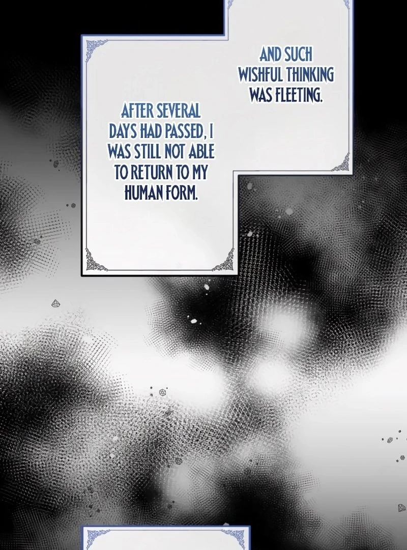 My Kidnapper Is My Arranged Marriage Partner?! Chapter 7 - Page 49