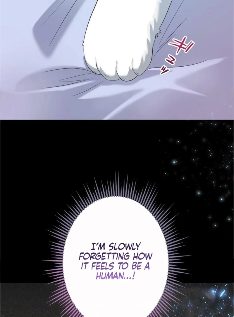 My Kidnapper Is My Arranged Marriage Partner?! Chapter 7 - Page 62