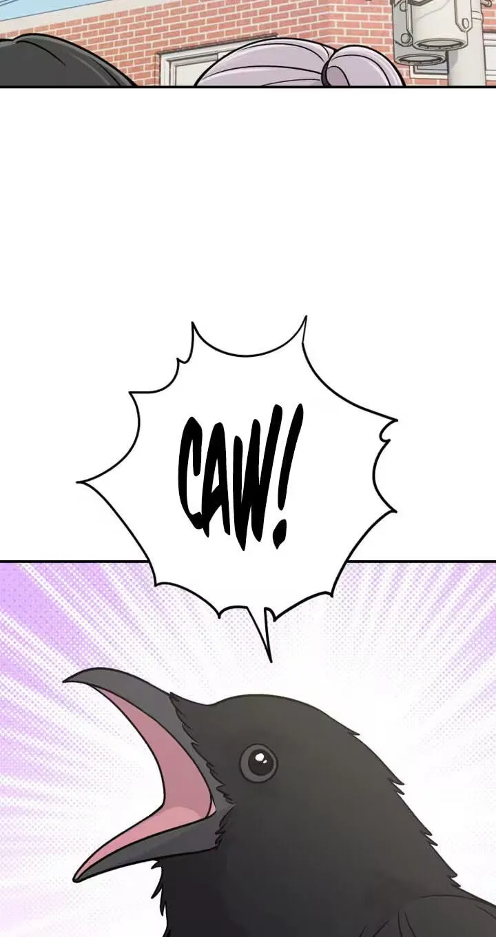 Operation: Heartbeat Chapter 36 - Page 66