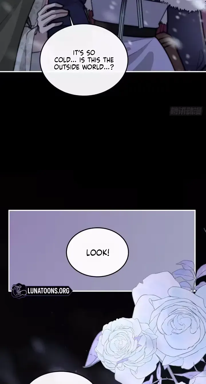 Rosemary’s Fairy Tales Chapter 52 - Page 37