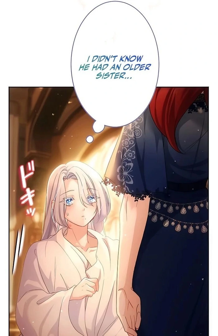 She Is Obsessed With the Possessive Flame Emperor Chapter 19 - Page 28