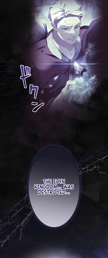 She Is Obsessed With the Possessive Flame Emperor Chapter 2 - Page 27