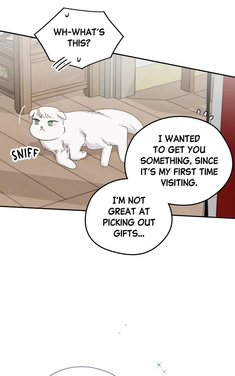 Summer Moon: The Cuprids Chapter 37 - Page 102
