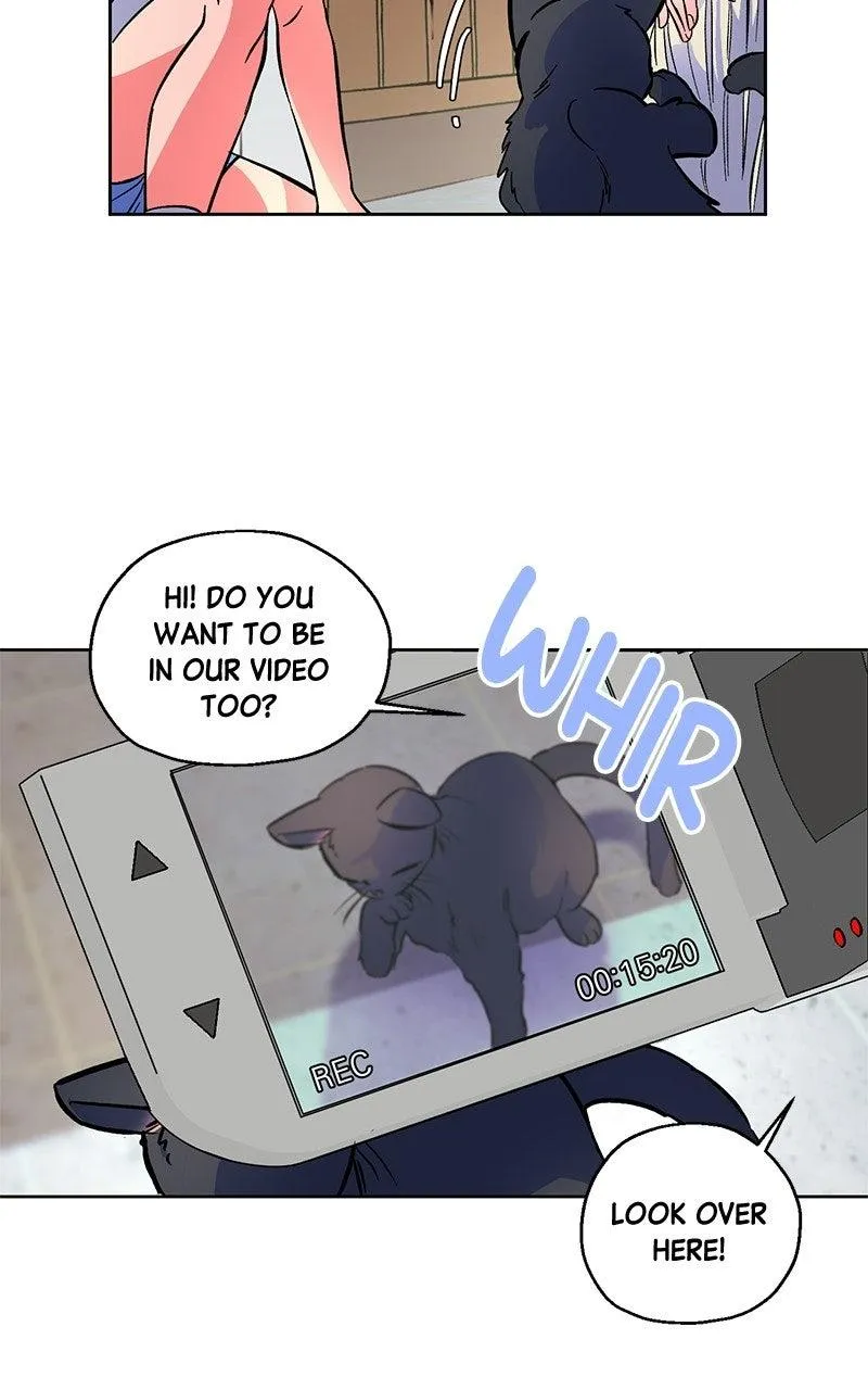 Summer Moon: The Cuprids Chapter 44 - Page 35
