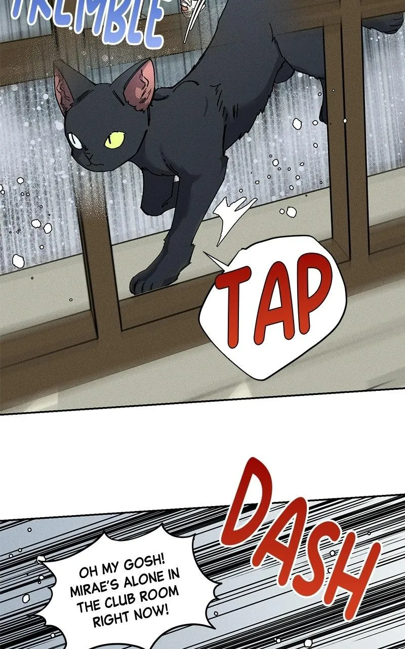 Summer Moon: The Cuprids Chapter 47 - Page 84