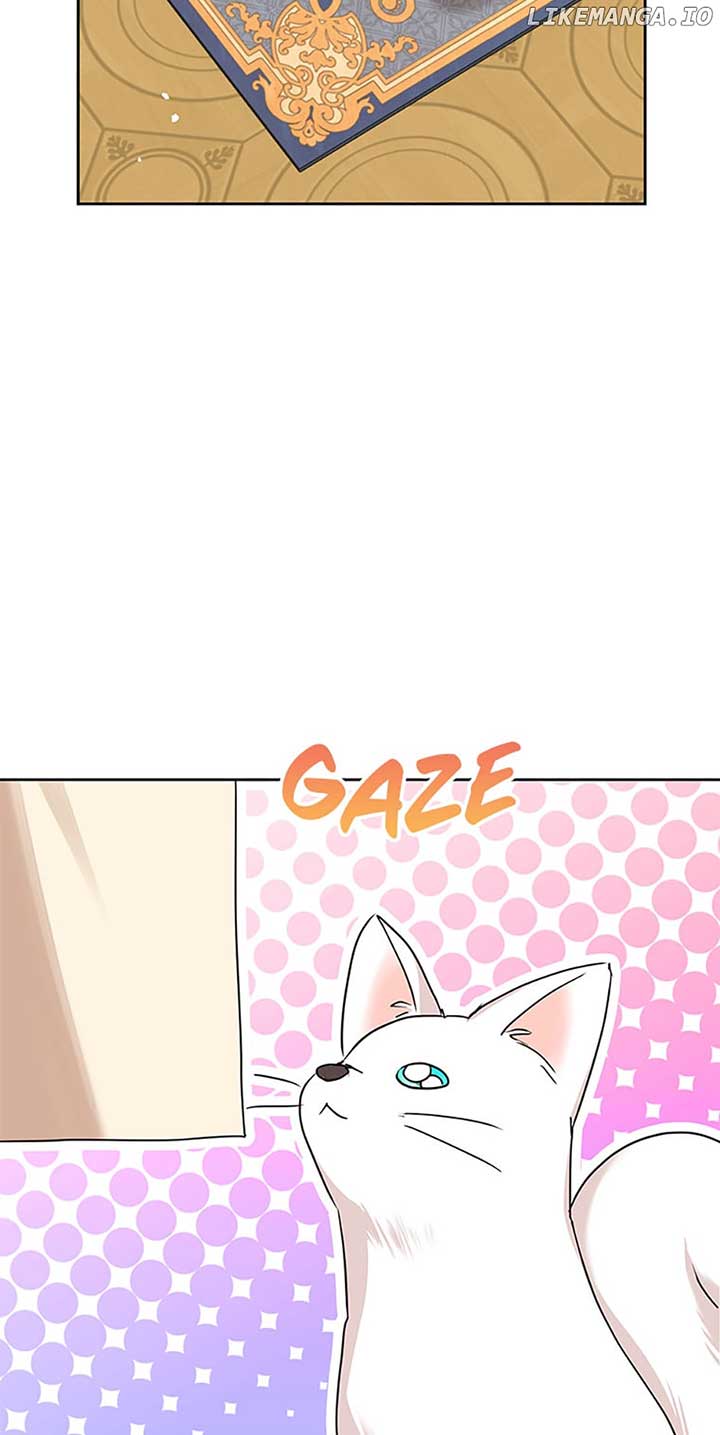 Surviving as an Illegitimate Princess Chapter 65 - Page 17