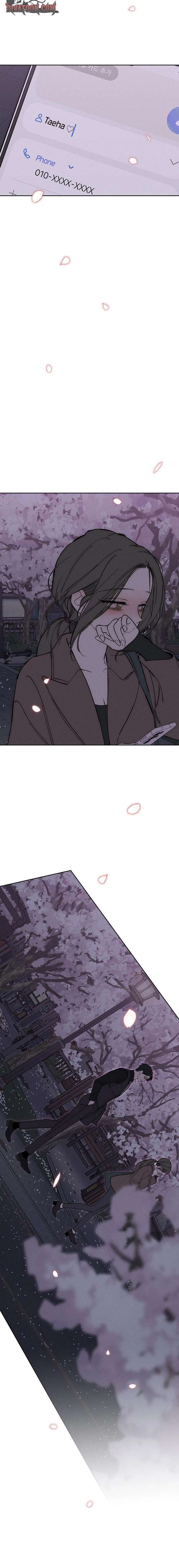 Tears on a Withered Flower Chapter 96 - Page 16