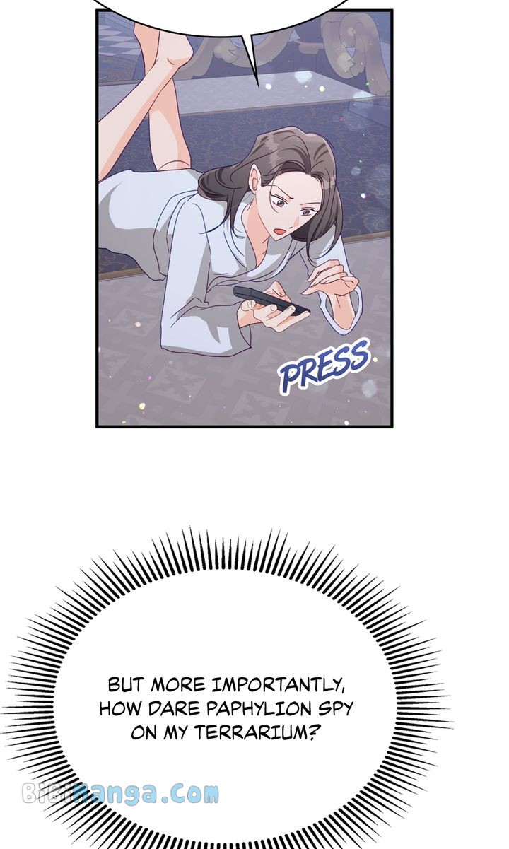 Terrarium Adventure Chapter 68 - Page 31