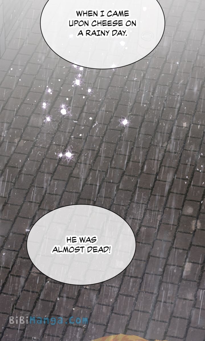 Terrarium Adventure Chapter 71 - Page 27