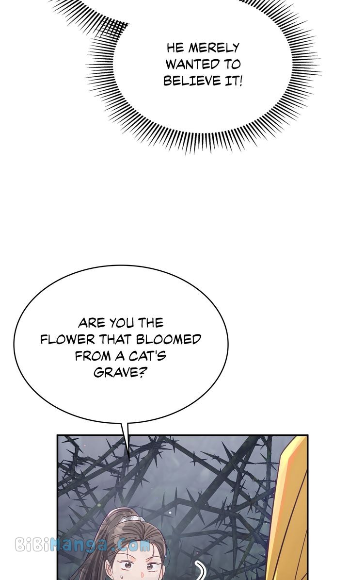 Terrarium Adventure Chapter 71 - Page 37
