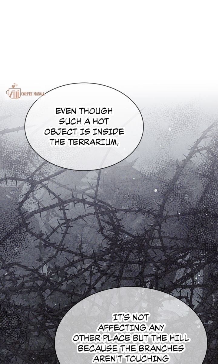 Terrarium Adventure Chapter 83 - Page 52