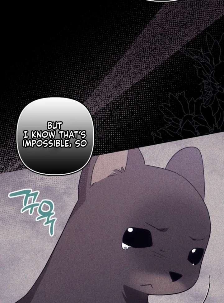 The Abandoned Bachelorette Enjoys Her Simple Life Chapter 104 - Page 61