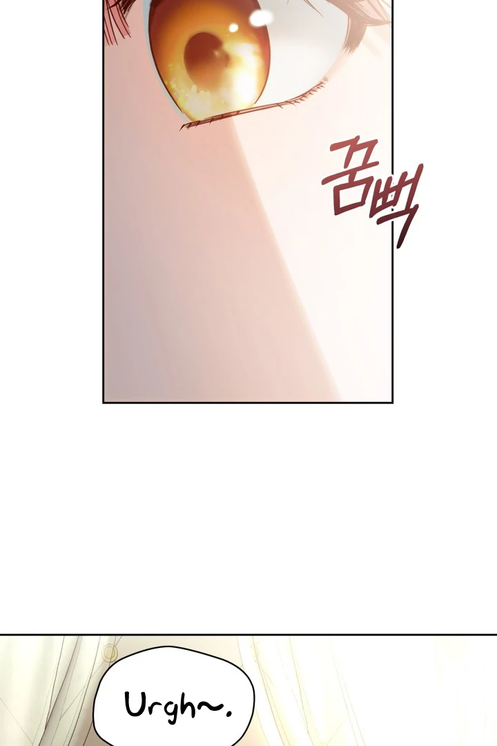 The Baby Prisoner in the Winter Castle Chapter 56 - Page 27