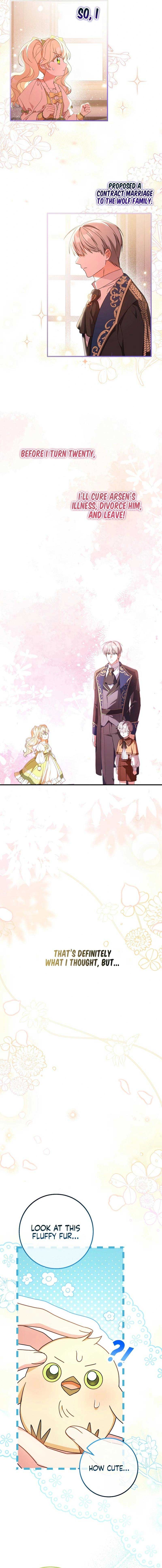 The Beloved New Daughter-in-law Of The Wolf Mansion Chapter 0 - Page 3